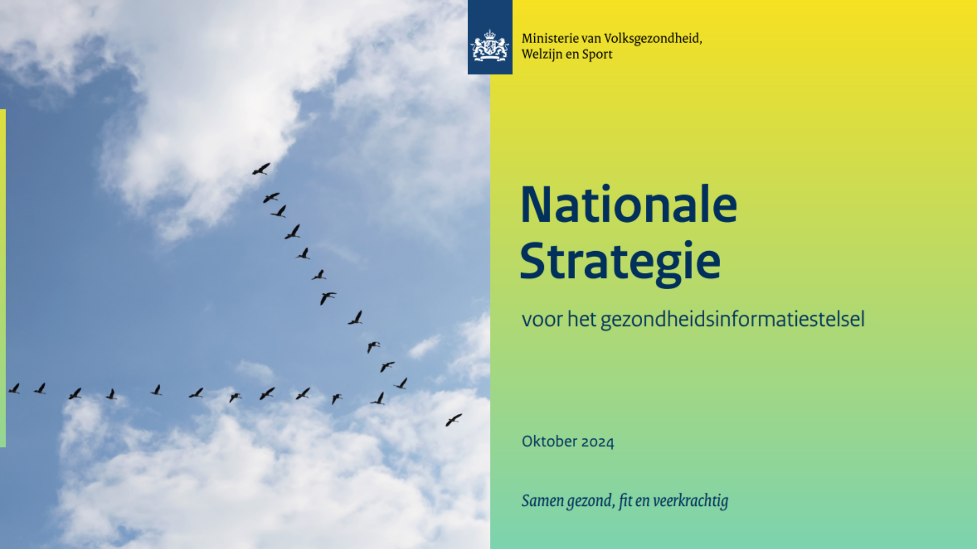 NVS (1).png
